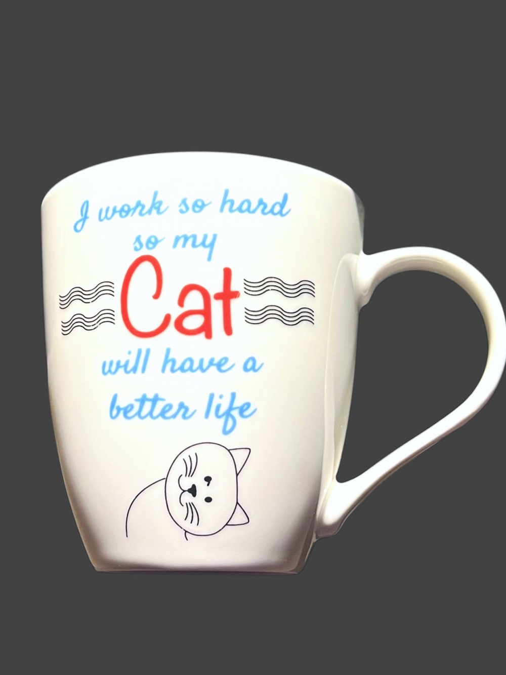 Cat Lover Novelty 16oz Gift Mug ‘I Work So Hard’